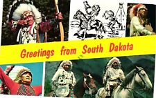 Vintage Postcard- The Native American, SD. 1960s picture