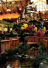Mountain Stream Cabela's Dundee Michigan Postcard picture