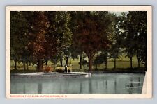 Clifton Springs NY- New York, Sanitarium Park Lake, Antique, Vintage Postcard picture