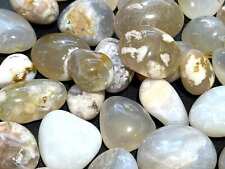 Flower Agate Light Brown Tumbled (1 LB) One Pound Bulk Wholesale Lot Polished picture