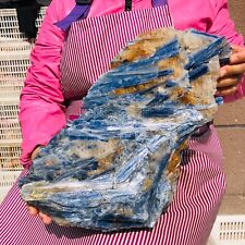 23.76LB Natural Blue Crystal Kyanite Rough Gem mineral Specimen Healing 630 picture