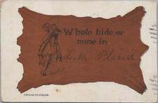 Postcard Whole Hide or None in Lake Placid NY  picture