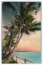 1942 Fort Shafter Mountain Scene Honolulu Hawaii HI Posted Palm Tree Postcard picture