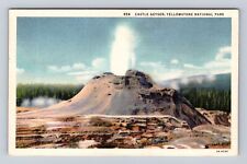 Yellowstone National Park, Castle Geyser, Series #954, Antique, Vintage Postcard picture