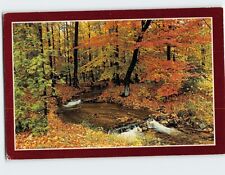 Postcard Woodland In Autumn picture