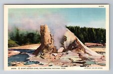 Yellowstone National Park WY-Wyoming, Giant Geyser Cone, Vintage Postcard picture