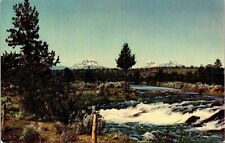 Three Sisters Region McKenzie Highway Oregon Scenic Landscape Chrome Postcard picture