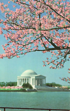 Postcard Jefferson Memorial Washington D. C. Chrome Vintage picture