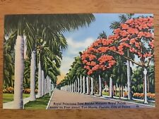 Vintage Postcard - Royal Palms & Poinciana Tree, First Street, Fort Myers, FL picture