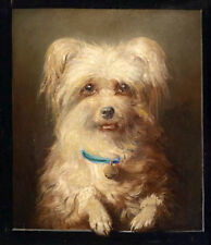 Oil painting lovely and cute little dog puppy with bell Blue Collar Hand painted picture