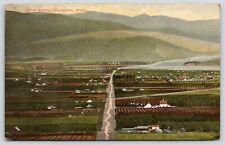 Wenatchee Washington~Miller Avenue Birdseye View~Orchards & Farms~1911 Postcard picture