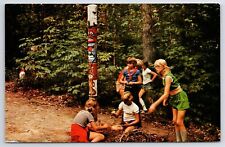 Defiance OH~Camp Libbey Maumee Valley Girl Scouts~Building Fire~Totem Pole~1960s picture