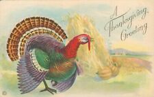 A Thanksgiving Greeting Postcard No. 777C~Antique~Colorful Turkey~Pumpkins~c1919 picture