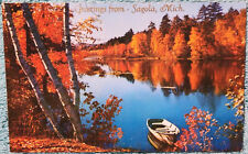 Autumn Leaves Surround A Lake Sagola Michigan 1950's Unused Vintage Postcard picture