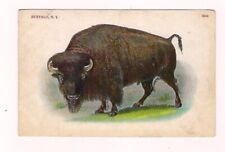 VTG Early 1900's Postcard Buffalo - Buffalo N.Y. 5944 Used picture