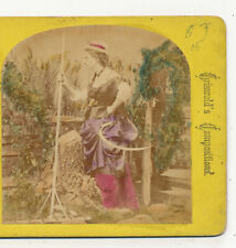 Lady with a Scythe & Rake Griswold Chamberlains Worcester MA Stereoview 1871 picture