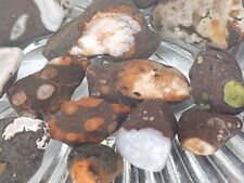 Keweenaw Copper Harbor Agates In Basalt Host Rock from Lake Superior 3.14oz Lot picture