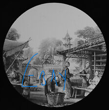 SORTING SILK COCOONS CHINA C1875 Magic Lantern Slide ANTIQUE ILLUSTRATION picture