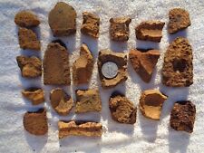 21 Civil War Various Exploded Artillery Shell Fragments Chattanooga, TN #2 picture