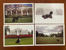 SET OF 4 OBAMA DOG BO GREETING CARDS WHITE HOUSE LAWN SNOW VICTORY FUND 2012  picture
