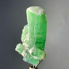 40 Cts Beautiful Terminated Tourmaline Crystals bunch  from Afghanistan picture