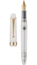 Asvine Vacuum Filling Fountain Pen Frosted Acrylic F V126 BRAND NEW picture