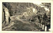 1938 RPPC Bingham,ME Quebec Road Somerset County Maine Real Photo Post Card picture