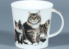 DUNOON CATS & KITTENS Fine Bone China CAIRNGORM Mug #1 picture