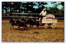 c1950's World's Smallest Four Mule Hitch 30 Inches Godfrey Illinois IL Postcard picture