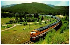 Vista Dome California Zephyr Train thru Alpine Meadows Colorado Rockies PM 1967 picture