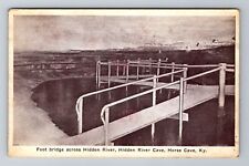 Horse Cave KY-Kentucky, Hidden River Cave, Foot Bridge, Vintage Postcard picture
