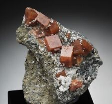 CHABAZITE - lustrous crystals MOROCCO  /bn811 picture