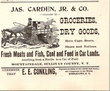 1900 Jas Carden Jr & Co Groceries Dry Goods Fresh Meat Fish Coal MOUNTAINDALE NY picture