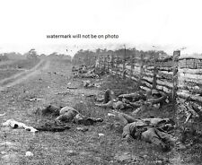 Dead Confederate Soldiers Battle of Antietam 8