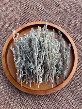 2oz Fresh Cut Sage Artemisia Tridentata Big Sagebrush Wild Native SMUDGING picture