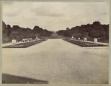 France, Parc du Château de Compiègne, Avenue de Beaumont vintage albumen print picture