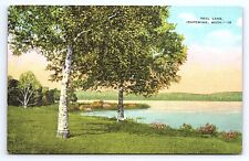 Postcard Teal Lake, Ishpeming Michigan MI picture