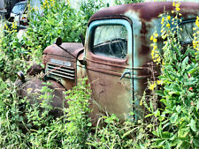 1940s GMC Pickup in Salvage yard being consumed by nature 8 x 10 photograph picture