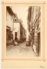 France, vintage glass albumen print. 13x18 Circa 1880 Albumin Print  picture