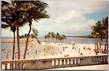 POSTCARD Dade County Park's Matheson Hammock's palm Biscayne Bay picture