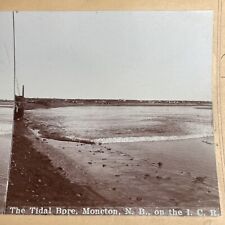 Antique 1894 Tidal Wave Bore Moncton New Brunswick Canada Stereoview Photo PC637 picture