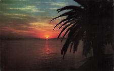 Postcard Golden Sunset in Beautiful Southland Water Ocean Sea Palm Tree Surf FL picture