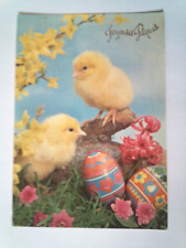 Cpsm Merry Easter. Chicks  picture