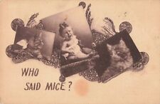 Who Said Mice Baby Cat Kittens c1910 Postcard picture
