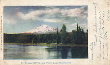 Trout Lake WA Washington, Mount Adams & Trout Lake Scenic View, Vintage Postcard picture
