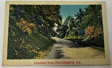 Greetings from Hillsgrove PA Linen Postcard picture