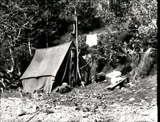 LG38 1935 2nd Gen Restrike Photo ALASKAN MOUNTAIN MAN CAMP GOLD PROSPECTING TENT picture