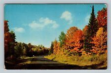 Scenic Autumn Drive Through The Woods Spectacular Foliage Pines Vintage Postcard picture