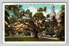 Tampa FL-Florida, Old De Soto Oak, Tampa Bay Hotel, Vintage c1924 Postcard picture