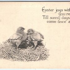 c1910s Happy Easter Joys Poem Cute Baby Chicks in Nest Collo Photo Postcard A82 picture